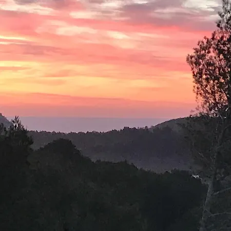 Mercedes * Santa Eularia des Riu